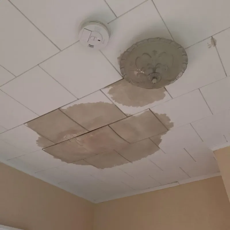 Ceiling Water Damage Repair in Wilmington, NC