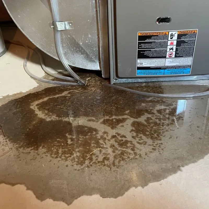 Pipe Burst and Leak Restoration in Wilmington, NC