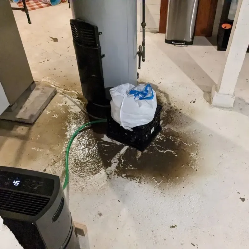 Sewage Backup Cleanup Service in Wilmington, NC